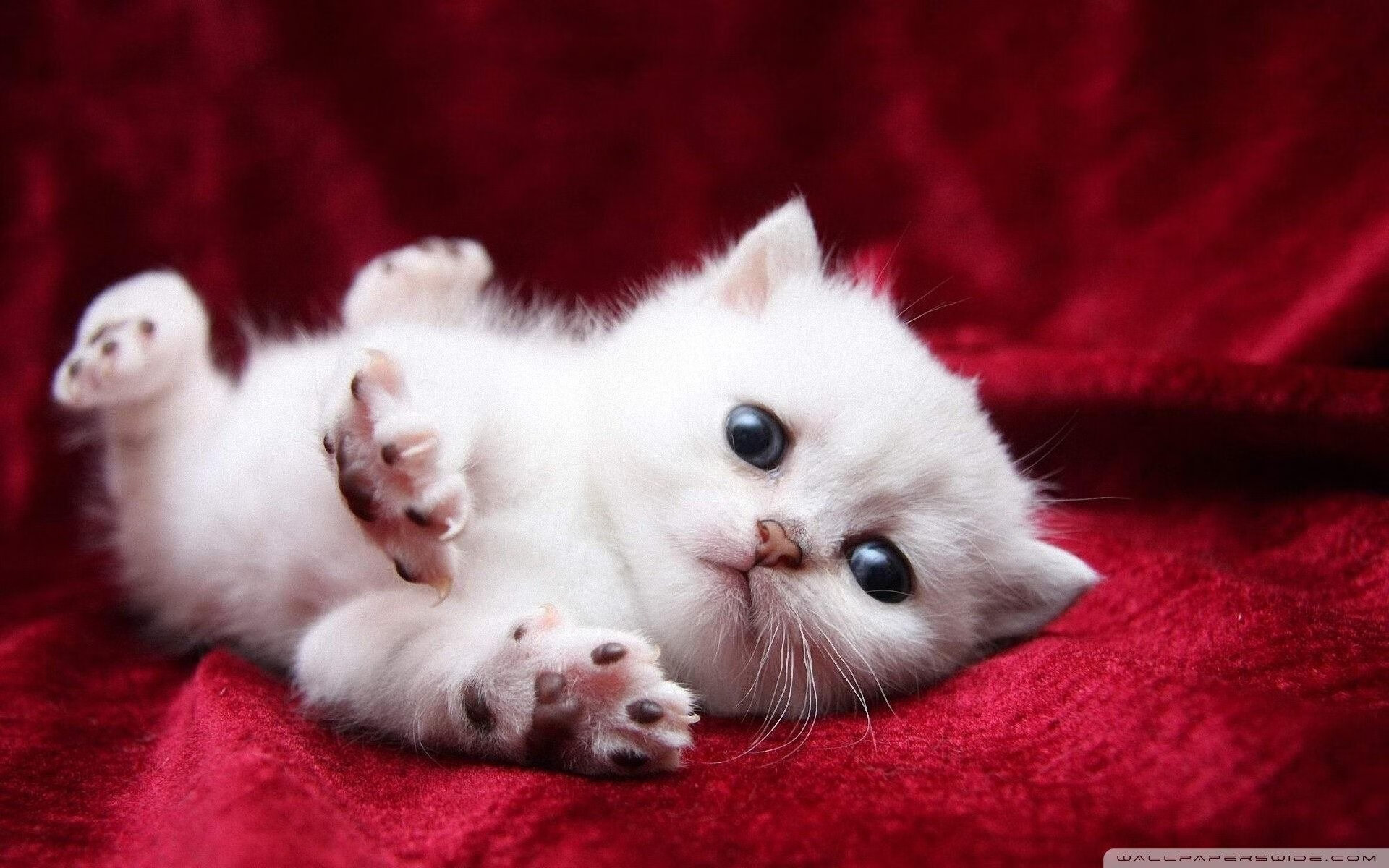 AYX官网-传奇巨星的“人生第二春”，退役后如何继续影响联盟？，退役传奇球星