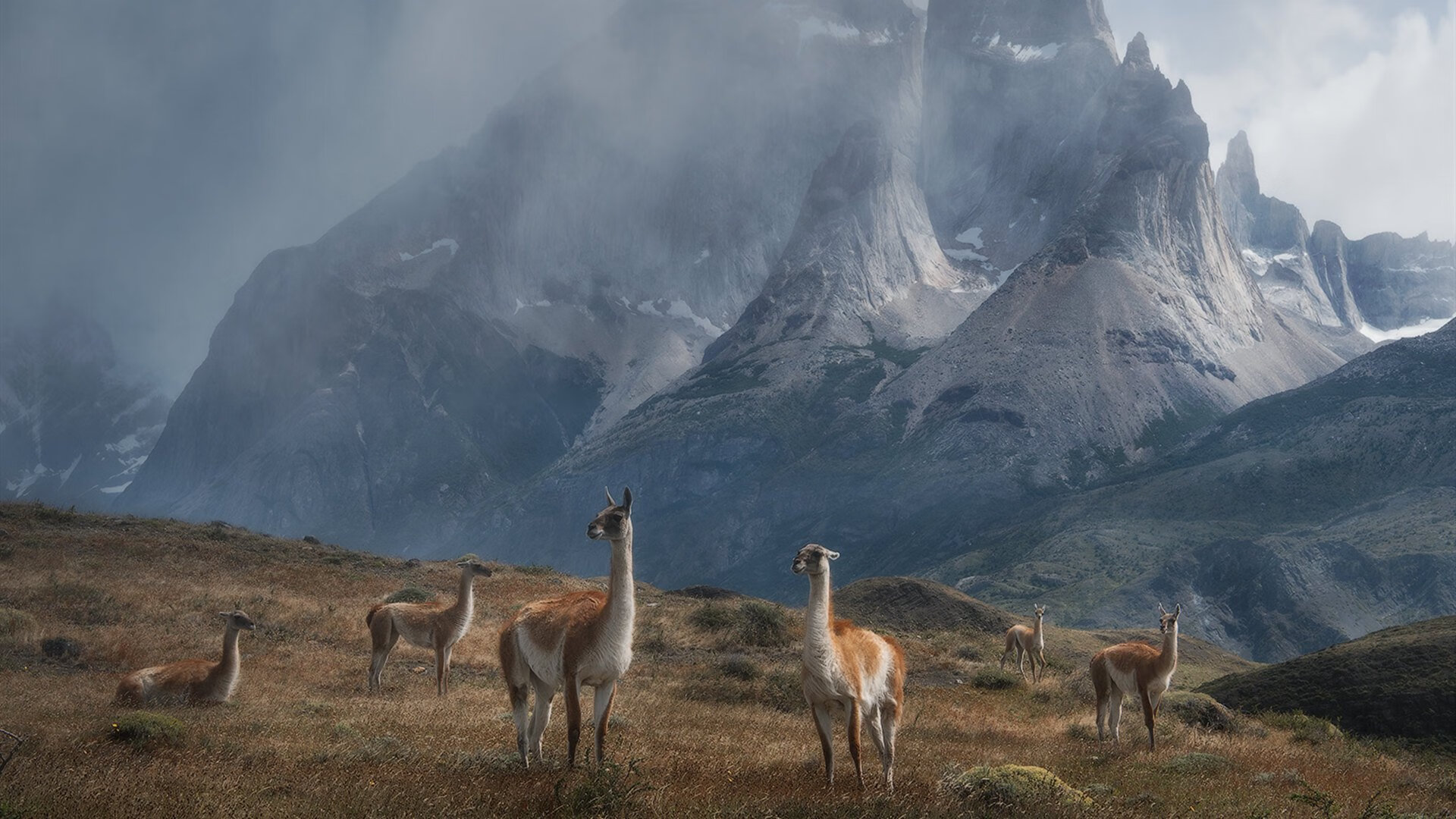 冰雪主场作战,瑞士国家队晋级冬奥八强,瑞士冰球队
