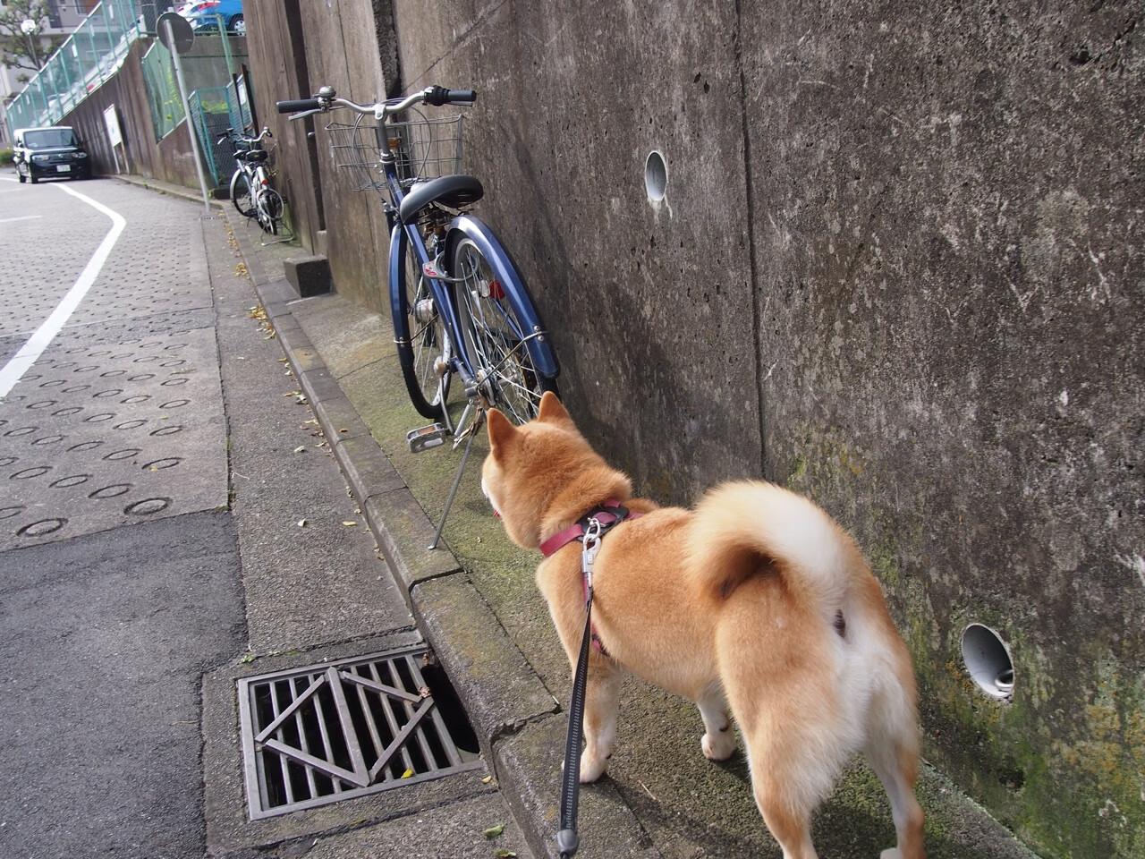 爱游戏综合娱乐-未来“智能青训”成为行业新风向，行业迈入智慧发展新阶段