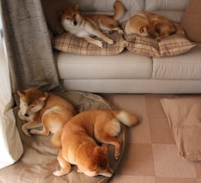 AYX官网-本泽马关键进球，皇马稳固晋级，本泽马皇马总进球