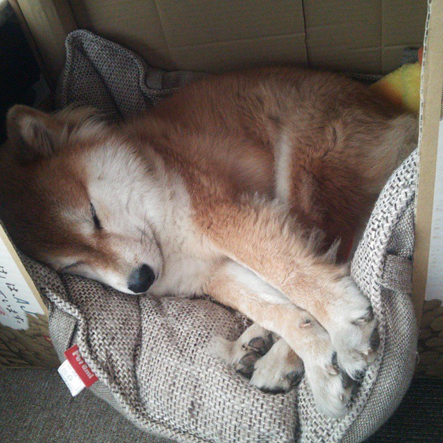 爱游戏中国官方登录入口网站-球场“震撼瞬间”：欧冠最令人心跳加速的进球，欧冠进球效率排行