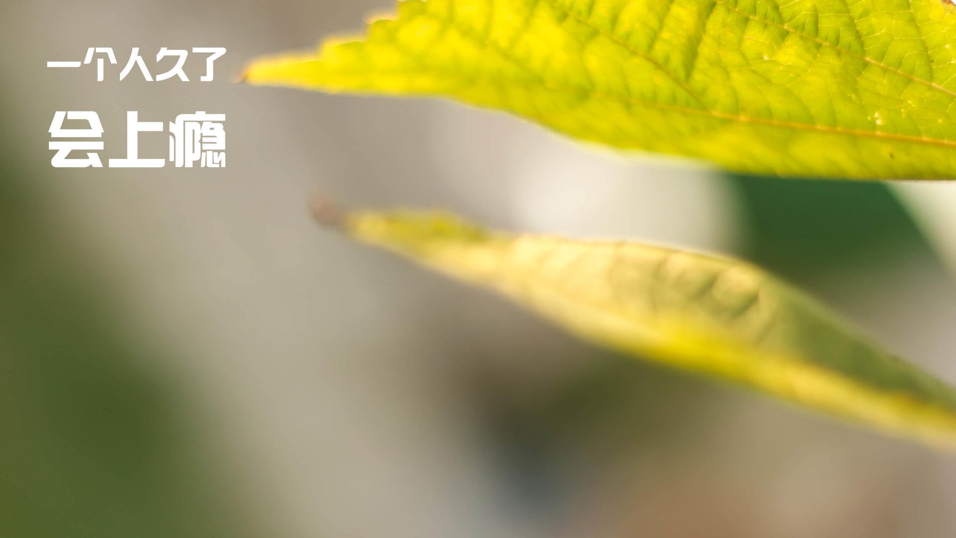 爱游戏官方网站-社交媒体热议国足比赛，话题不断，国足评论文章