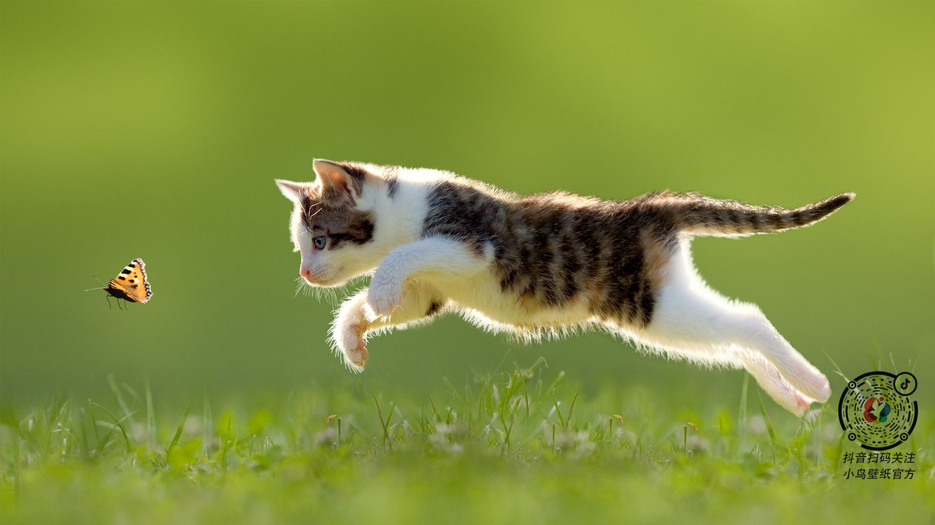 爱游戏app-山东泰山防线稳定失球减少，山东泰山队最新进展