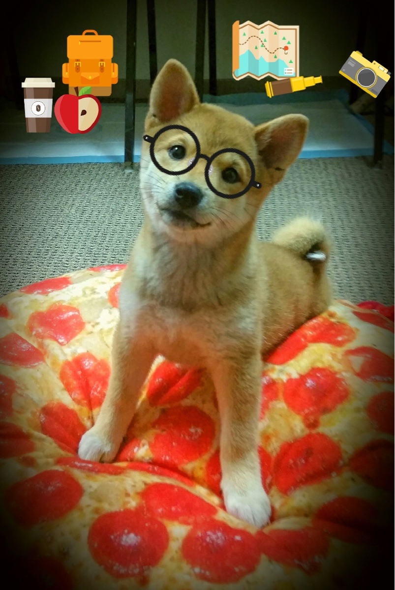 巴西队在2024年南美锦标赛中以6-2战胜意大利队获得银牌,巴西落选赛