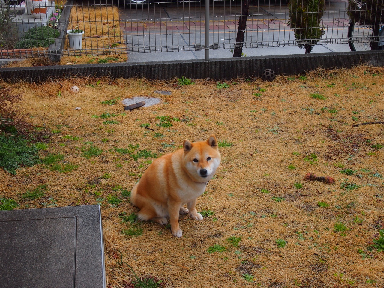 爱游戏体育-斯托克城身体对抗出色，陶工冲击季后赛资格，斯托克斯场