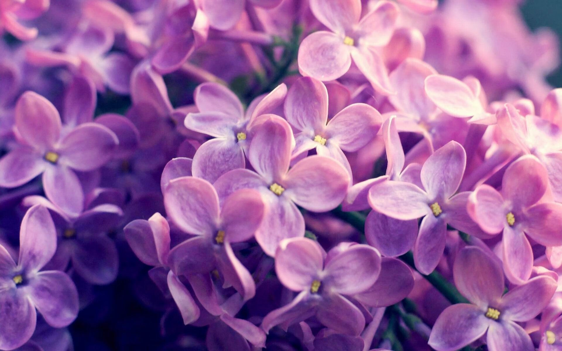 爱游戏登录入口-突尼斯篮球发展项目推进，突尼斯球衣