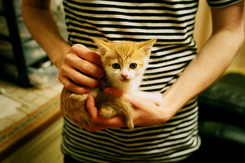 爱游戏登录入口-CBA联盟鼓励地方俱乐部共建篮球培训基地，篮球协会培训班