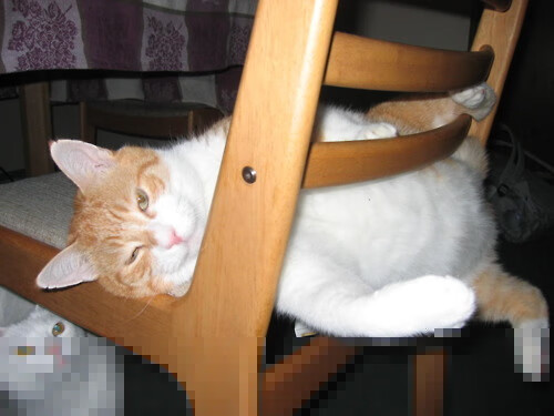 AYX GAMING-中国篮协推动女篮职业联赛市场化运营，全国女篮职业联赛简称