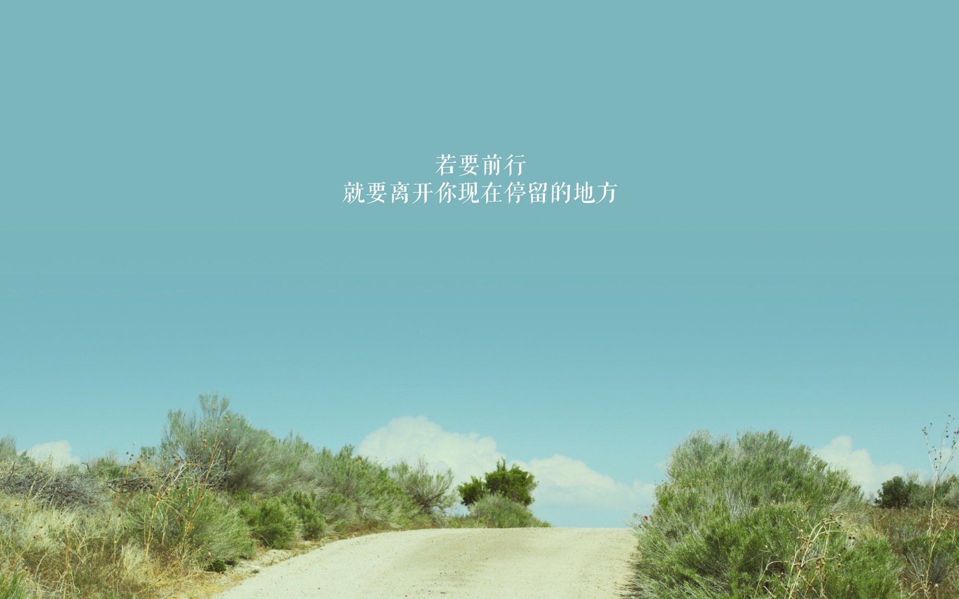 爱游戏官方-意甲球队的海外市场拓展，意甲球队球场